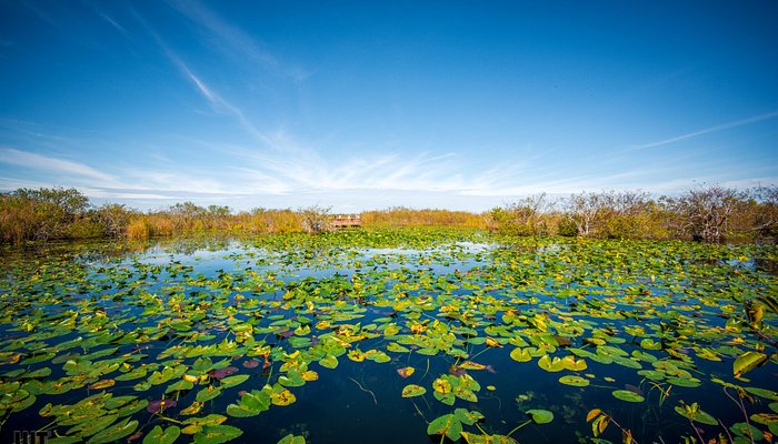 Anhinga Trail