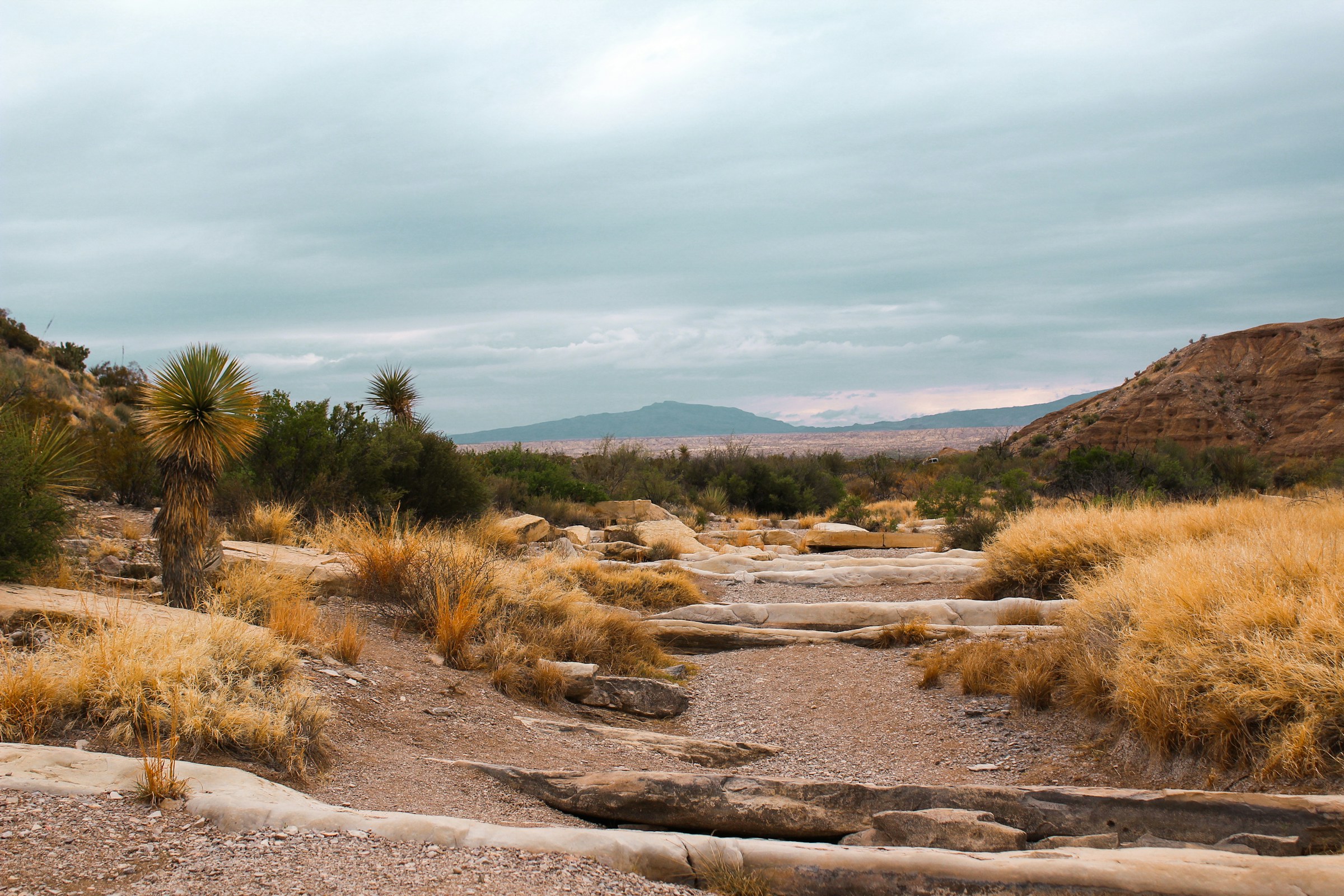 Big Bend National Park activities