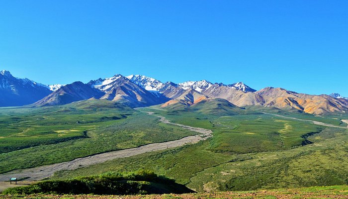 Denali Park Road