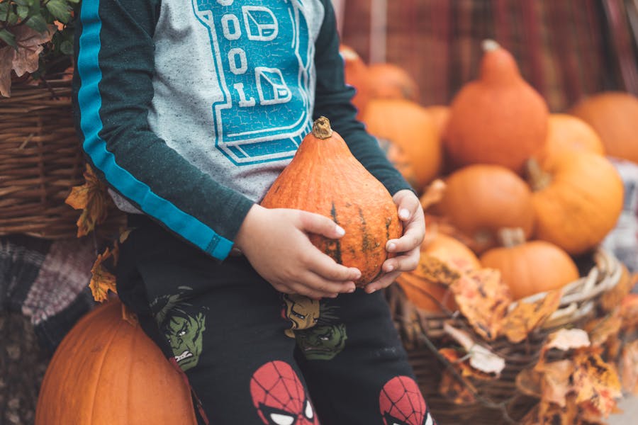 Fall Harvest Fair