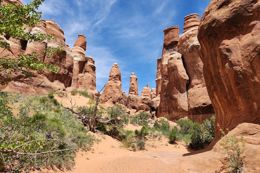 Fiery Furnace