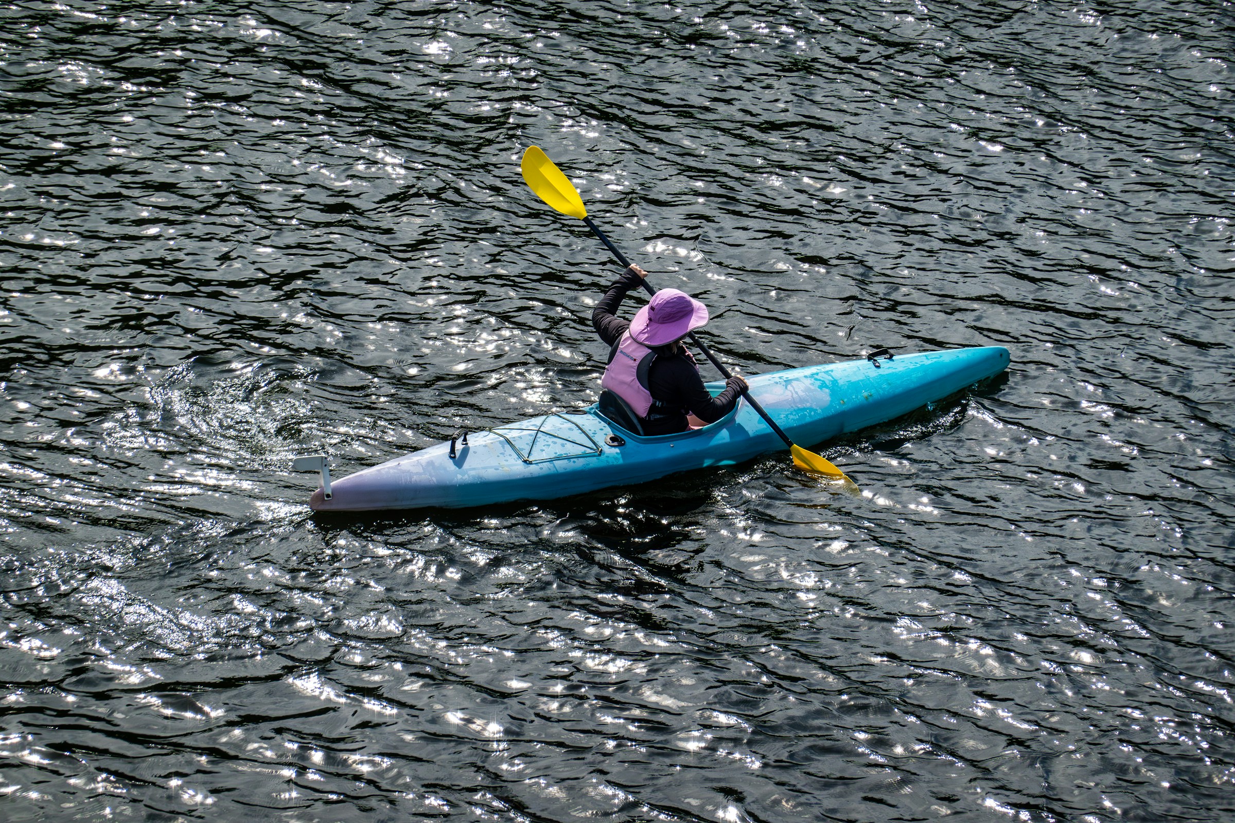 Kayaking through Mangroves
