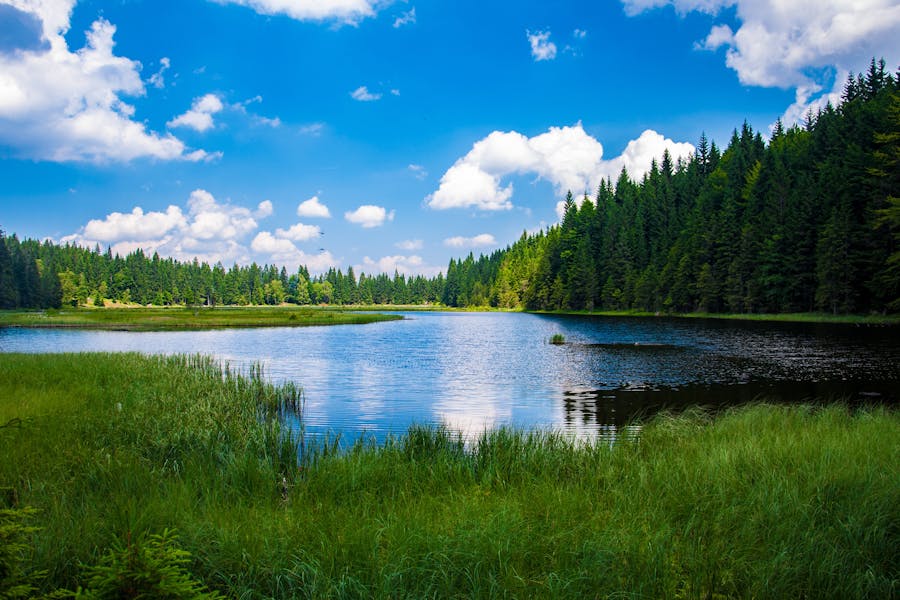 Lake reflection