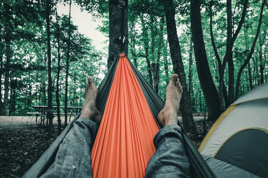 Mahogany Hammock Trail