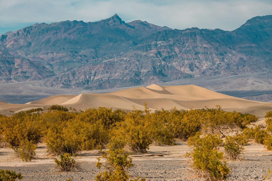 Mesquite Flat Sand Dunes