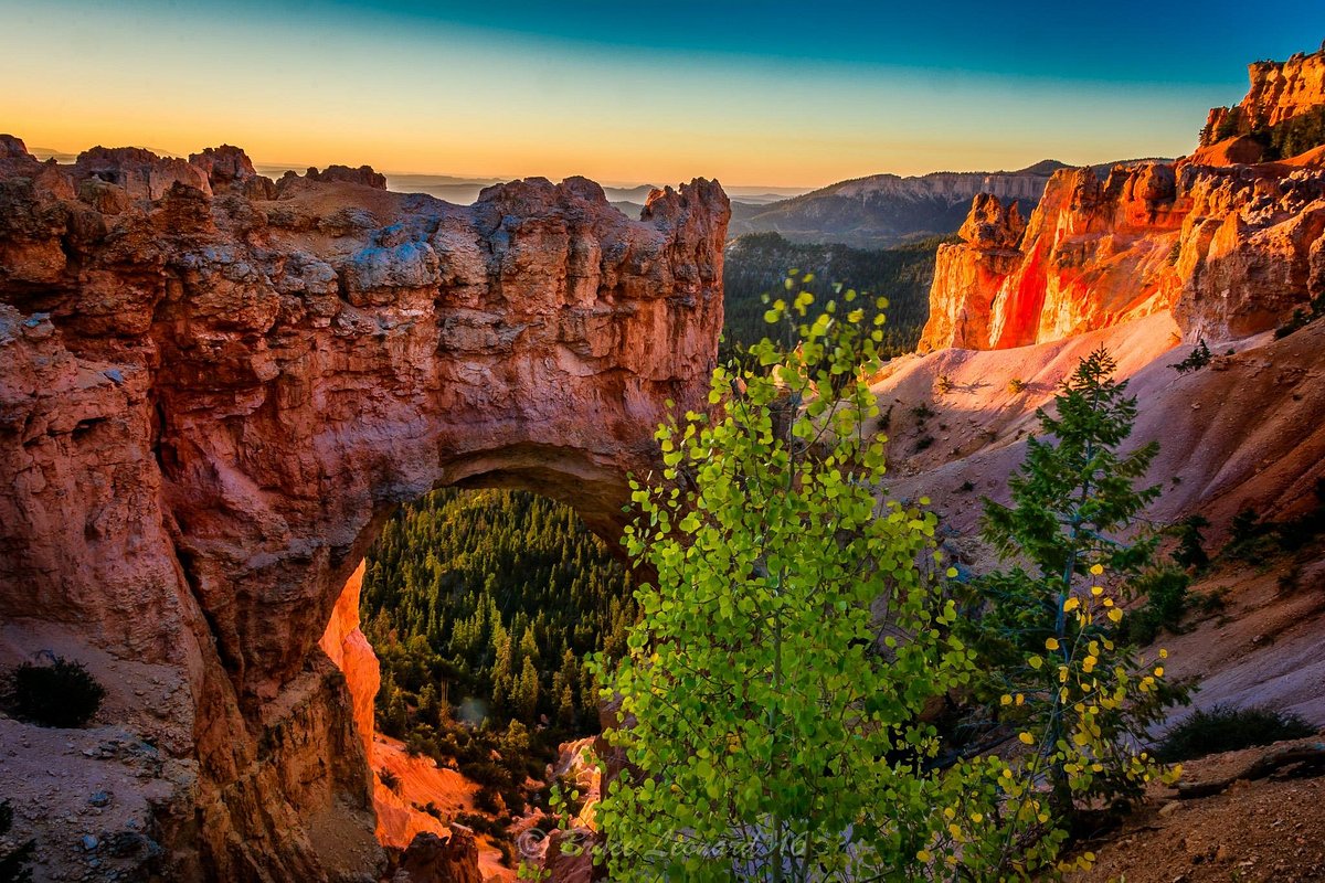 Natural Bridge