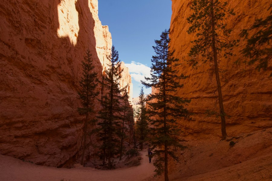 Navajo Loop Trail