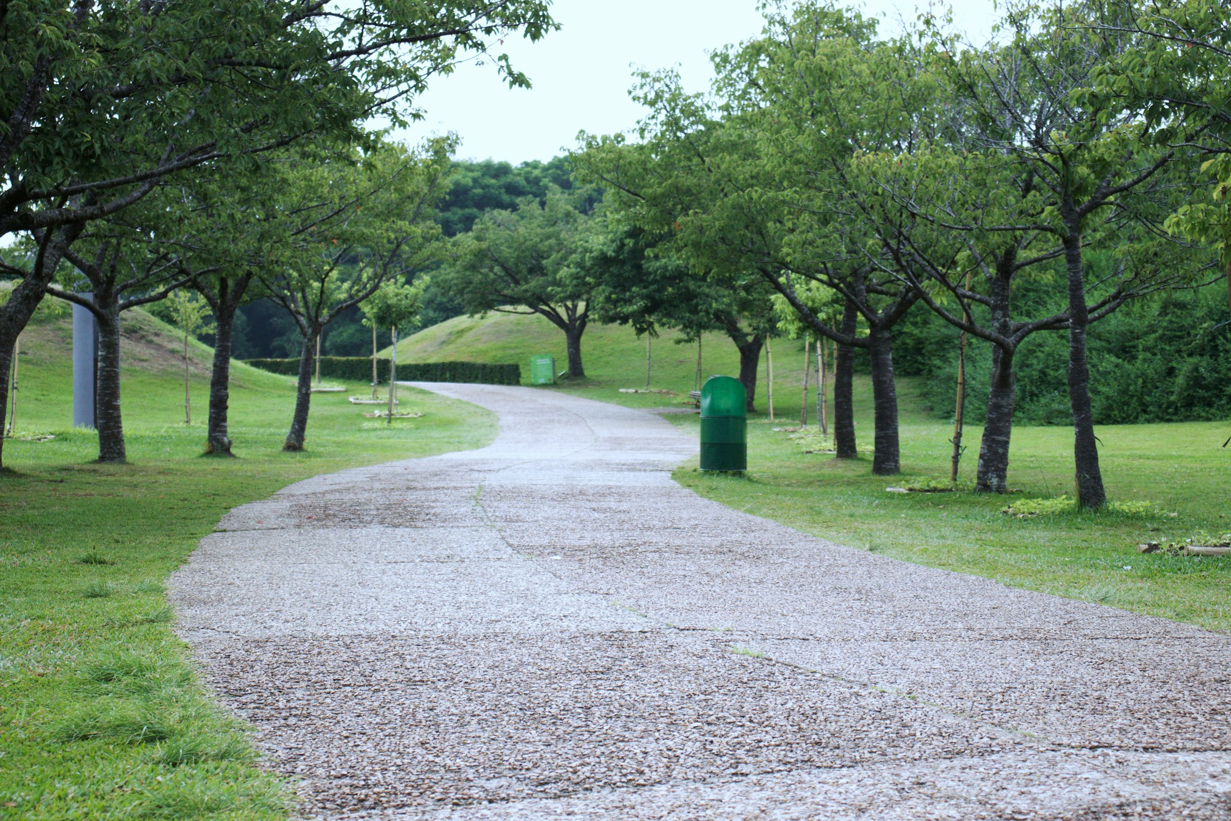 Park Road
