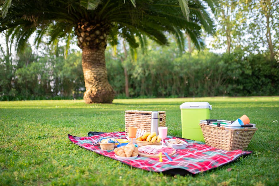 Picnic & Food Areas