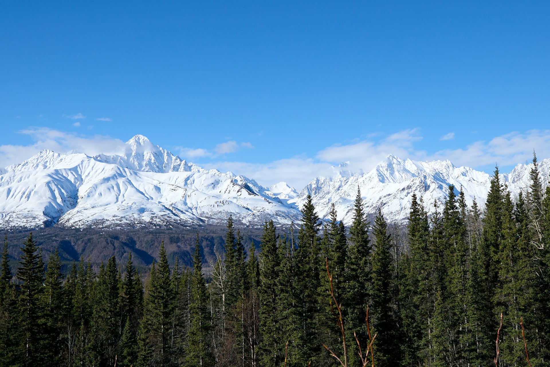 Denali Landscape