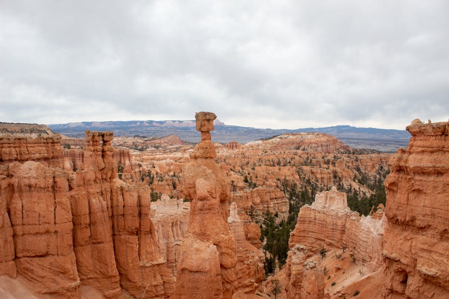 Thor's Hammer