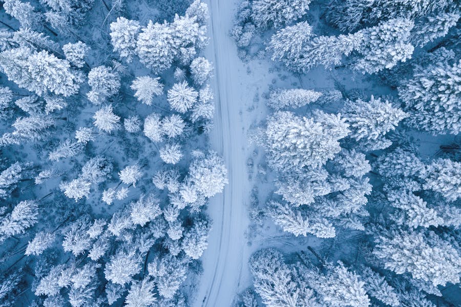 Winter Landscape