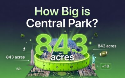 How Big is Central Park? Everything You Need to Know