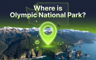 Where is Olympic National Park?  Explore Its Beauty & Attractions