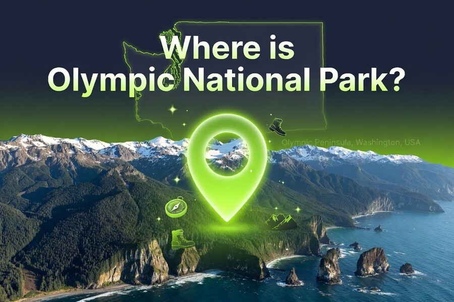 where is olympic national park